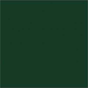 4174 Conifer