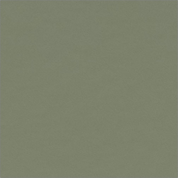 4184 Olive