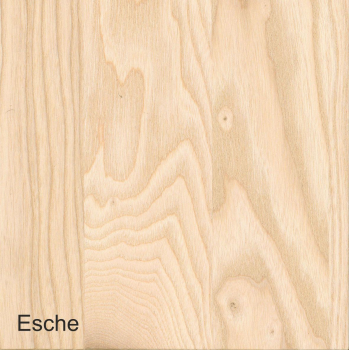 Besteckeinsatz Esche Vollmassiv TYP 5