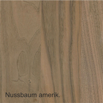 Besteckeinsatz Nussbaum amerik. Vollmassiv TYP 7