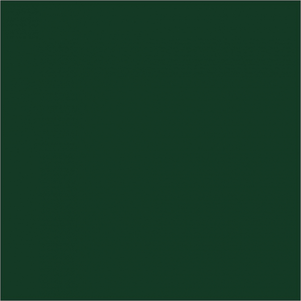 4174 Conifer