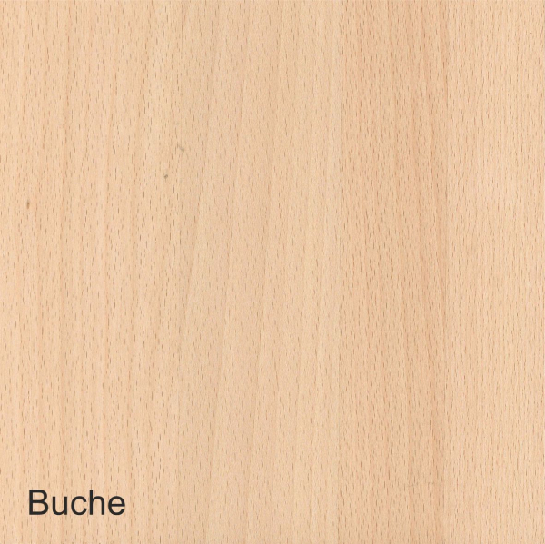 Besteckeinsatz Buche Vollmassiv TYP 9