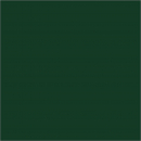 4174 Conifer