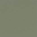 4184 Olive