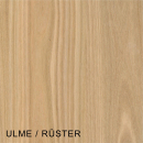 Rüster / Ulme